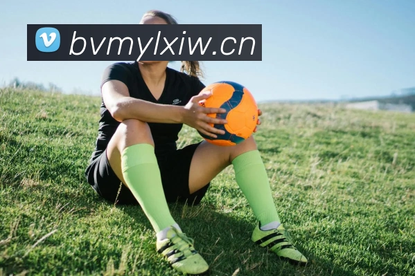 星空手机在线登陆入口发展历程